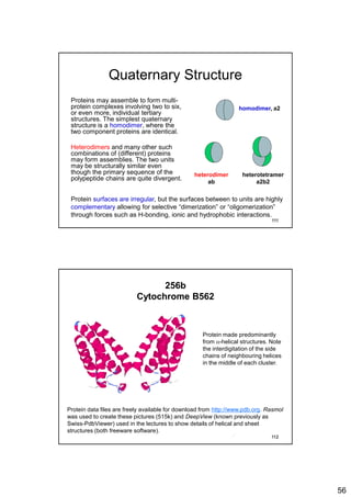 56
Quaternary Structure
Proteins may assemble to form multi-
protein complexes involving two to six,
or even more, individual tertiary
structures. The simplest quaternary
structure is a homodimer, where the
two component proteins are identical.
Heterodimers and many other such
combinations of (different) proteins
may form assemblies. The two units
may be structurally similar even
though the primary sequence of the
polypeptide chains are quite divergent.
homodimer, a2
heterodimer
ab
heterotetramer
a2b2
Protein surfaces are irregular, but the surfaces between to units are highly
complementary allowing for selective “dimerization” or “oligomerization”
through forces such as H-bonding, ionic and hydrophobic interactions.
111
256b
Cytochrome B562
Protein made predominantly
from a-helical structures. Note
the interdigitation of the side
chains of neighbouring helices
in the middle of each cluster.
Protein data files are freely available for download from http://www.pdb.org. Rasmol
was used to create these pictures (515k) and DeepView (known previously as
Swiss-PdbViewer) used in the lectures to show details of helical and sheet
structures (both freeware software).
112
 