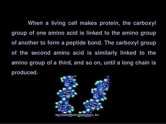 Polypeptides of defined sequence