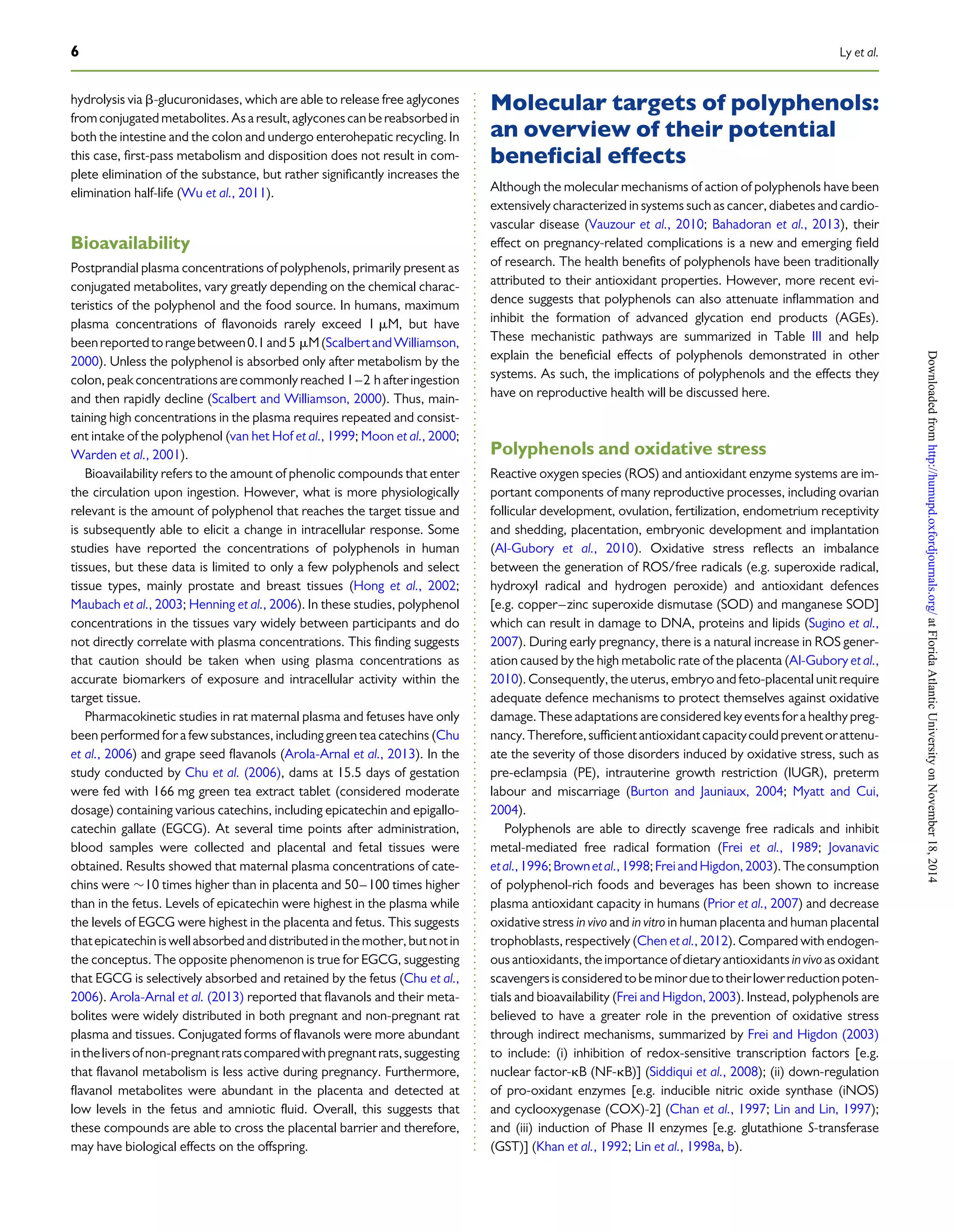 Polyphenols and pregnancy (1) | PDF