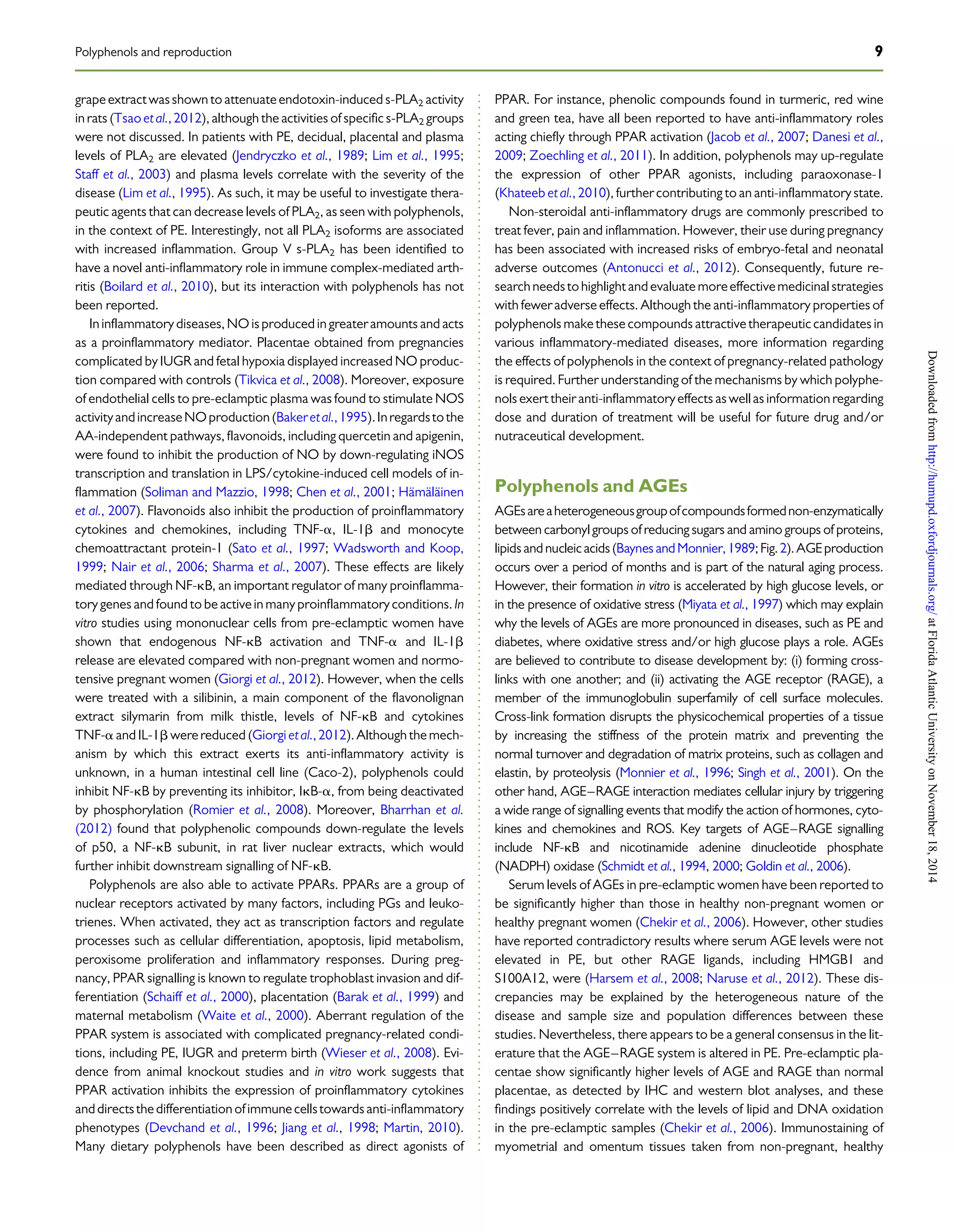 Polyphenols and pregnancy (1) | PDF | Pregnancy | Reproductive Health