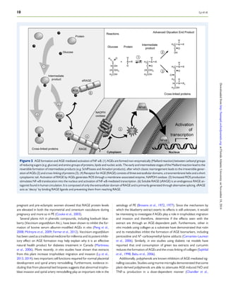 Polyphenols and pregnancy (1) | PDF