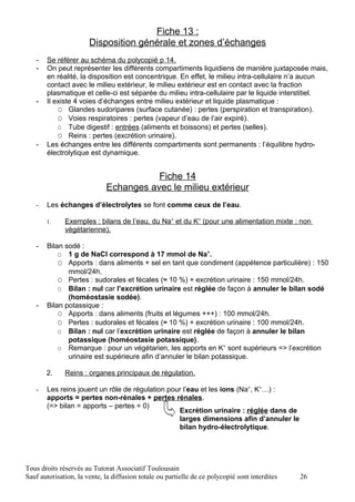 Fiche 13 :
                       Disposition générale et zones d’échanges
   -   Se référer au schéma du polycopié p 14.
   -   On peut représenter les différents compartiments liquidiens de manière juxtaposée mais,
       en réalité, la disposition est concentrique. En effet, le milieu intra-cellulaire n’a aucun
       contact avec le milieu extérieur, le milieu extérieur est en contact avec la fraction
       plasmatique et celle-ci est séparée du milieu intra-cellulaire par le liquide interstitiel.
   -   Il existe 4 voies d’échanges entre milieu extérieur et liquide plasmatique :
           O Glandes sudoripares (surface cutanée) : pertes (perspiration et transpiration).
           O Voies respiratoires : pertes (vapeur d’eau de l’air expiré).
           O Tube digestif : entrées (aliments et boissons) et pertes (selles).
           O Reins : pertes (excrétion urinaire).
   -   Les échanges entre les différents compartiments sont permanents : l’équilibre hydro-
       électrolytique est dynamique.


                                        Fiche 14
                             Echanges avec le milieu extérieur
   -   Les échanges d’électrolytes se font comme ceux de l’eau.

       1.     Exemples : bilans de l’eau, du Na+ et du K+ (pour une alimentation mixte : non
              végétarienne).

   -   Bilan sodé :
           O 1 g de NaCl correspond à 17 mmol de Na+.
           O Apports : dans aliments + sel en tant que condiment (appétence particulière) : 150
              mmol/24h.
           O Pertes : sudorales et fécales (≈ 10 %) + excrétion urinaire : 150 mmol/24h.
           O Bilan : nul car l’excrétion urinaire est réglée de façon à annuler le bilan sodé
              (homéostasie sodée).
   -   Bilan potassique :
           O Apports : dans aliments (fruits et légumes +++) : 100 mmol/24h.
           O Pertes : sudorales et fécales (≈ 10 %) + excrétion urinaire : 100 mmol/24h.
           O Bilan : nul car l’excrétion urinaire est réglée de façon à annuler le bilan
              potassique (homéostasie potassique).
           O Remarque : pour un végétarien, les apports en K+ sont supérieurs => l’excrétion
              urinaire est supérieure afin d’annuler le bilan potassique.

       2.     Reins : organes principaux de régulation.

   -   Les reins jouent un rôle de régulation pour l’eau et les ions (Na+, K+…) :
       apports = pertes non-rénales + pertes rénales.
       (=> bilan = apports – pertes = 0)
                                                 Excrétion urinaire : réglée dans de
                                                 larges dimensions afin d’annuler le
                                                 bilan hydro-électrolytique.




Tous droits réservés au Tutorat Associatif Toulousain
Sauf autorisation, la vente, la diffusion totale ou partielle de ce polycopié sont interdites   26
 