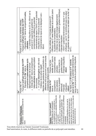 Tous droits réservés au Tutorat Associatif Toulousain
Sauf autorisation, la vente, la diffusion totale ou partielle de ce polycopié sont interdites   44
 