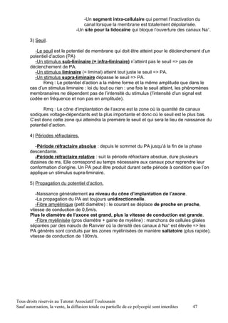 -Un segment intra-cellulaire qui permet l’inactivation du
                                     canal lorsque la membrane est totalement dépolarisée.
                                  -Un site pour la lidocaïne qui bloque l’ouverture des canaux Na+.

       3) Seuil.

         -Le seuil est le potentiel de membrane qui doit être atteint pour le déclenchement d’un
       potentiel d’action (PA)
         -Un stimulus sub-liminaire (= infra-liminaire) n’atteint pas le seuil => pas de
       déclenchement de PA.
         -Un stimulus liminaire (= liminal) atteint tout juste le seuil => PA.
         -Un stimulus supra-liminaire dépasse le seuil => PA.
              Rmq : Le potentiel d’action a la même forme et la même amplitude que dans le
       cas d’un stimulus liminaire : loi du tout ou rien : une fois le seuil atteint, les phénomènes
       membranaires ne dépendent pas de l’intensité du stimulus (l’intensité d’un signal est
       codée en fréquence et non pas en amplitude).

              Rmq : Le cône d’implantation de l’axone est la zone où la quantité de canaux
       sodiques voltage-dépendants est la plus importante et donc où le seuil est le plus bas.
       C’est donc cette zone qui atteindra la première le seuil et qui sera le lieu de naissance du
       potentiel d’action.

       4) Périodes réfractaires.

          -Période réfractaire absolue : depuis le sommet du PA jusqu’à la fin de la phase
       descendante.
          -Période réfractaire relative : suit la période réfractaire absolue, dure plusieurs
       dizaines de ms. Elle correspond au temps nécessaire aux canaux pour reprendre leur
       conformation d’origine. Un PA peut être produit durant cette période à condition que l’on
       applique un stimulus supra-liminaire.

       5) Propagation du potentiel d’action.

          -Naissance généralement au niveau du cône d’implantation de l’axone.
          -La propagation du PA est toujours unidirectionnelle.
          -Fibre amyélinique (petit diamètre) : le courant se déplace de proche en proche,
       vitesse de conduction de 0,5m/s.
       Plus le diamètre de l’axone est grand, plus la vitesse de conduction est grande.
          -Fibre myélinisée (gros diamètre + gaine de myéline) : manchons de cellules gliales
       séparées par des nœuds de Ranvier où la densité des canaux à Na+ est élevée => les
       PA générés sont conduits par les zones myélinisées de manière saltatoire (plus rapide),
       vitesse de conduction de 100m/s.




Tous droits réservés au Tutorat Associatif Toulousain
Sauf autorisation, la vente, la diffusion totale ou partielle de ce polycopié sont interdites   47
 