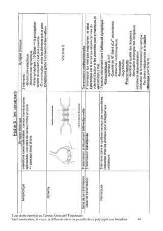 Tous droits réservés au Tutorat Associatif Toulousain
Sauf autorisation, la vente, la diffusion totale ou partielle de ce polycopié sont interdites   48
 
