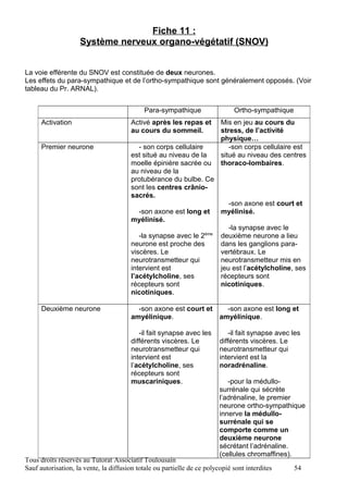 Fiche 11 :
                    Système nerveux organo-végétatif (SNOV)


La voie efférente du SNOV est constituée de deux neurones.
Les effets du para-sympathique et de l’ortho-sympathique sont généralement opposés. (Voir
tableau du Pr. ARNAL).


                                            Para-sympathique                  Ortho-sympathique
      Activation                       Activé après les repas et         Mis en jeu au cours du
                                       au cours du sommeil.              stress, de l’activité
                                                                         physique…
      Premier neurone                    - son corps cellulaire             -son corps cellulaire est
                                       est situé au niveau de la         situé au niveau des centres
                                       moelle épinière sacrée ou         thoraco-lombaires.
                                       au niveau de la
                                       protubérance du bulbe. Ce
                                       sont les centres crânio-
                                       sacrés.
                                                                          -son axone est court et
                                        -son axone est long et           myélinisé.
                                       myélinisé.
                                                                            -la synapse avec le
                                          -la synapse avec le 2ème       deuxième neurone a lieu
                                       neurone est proche des            dans les ganglions para-
                                       viscères. Le                      vertébraux. Le
                                       neurotransmetteur qui             neurotransmetteur mis en
                                       intervient est                    jeu est l’acétylcholine, ses
                                       l’acétylcholine, ses              récepteurs sont
                                       récepteurs sont                   nicotiniques.
                                       nicotiniques.

      Deuxième neurone                   -son axone est court et   -son axone est long et
                                       amyélinique.              amyélinique.

                                          -il fait synapse avec les         -il fait synapse avec les
                                       différents viscères. Le           différents viscères. Le
                                       neurotransmetteur qui             neurotransmetteur qui
                                       intervient est                    intervient est la
                                       l’acétylcholine, ses              noradrénaline.
                                       récepteurs sont
                                       muscariniques.                       -pour la médullo-
                                                                         surrénale qui sécrète
                                                                         l’adrénaline, le premier
                                                                         neurone ortho-sympathique
                                                                         innerve la médullo-
                                                                         surrénale qui se
                                                                         comporte comme un
                                                                         deuxième neurone
                                                                         sécrétant l’adrénaline.
                                                                         (cellules chromaffines).
Tous droits réservés au Tutorat Associatif Toulousain
Sauf autorisation, la vente, la diffusion totale ou partielle de ce polycopié sont interdites     54
 