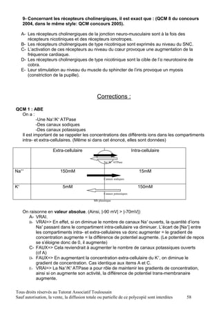 9- Concernant les récepteurs cholinergiques, il est exact que : (QCM 8 du concours
     2004, dans le même style: QCM concours 2005).

     A- Les récepteurs cholinergiques de la jonction neuro-musculaire sont à la fois des
        récepteurs nicotiniques et des récepteurs ionotropes.
     B- Les récepteurs cholinergiques de type nicotinique sont exprimés au niveau du SNC.
     C- L’activation de ces récepteurs au niveau du cœur provoque une augmentation de la
        fréquence cardiaque.
     D- Les récepteurs cholinergiques de type nicotinique sont la cible de l’α neurotoxine de
        cobra.
     E- Leur stimulation au niveau du muscle du sphincter de l’iris provoque un myosis
        (constriction de la pupille).



                                                Corrections :

QCM 1 : ABE
  On a :
          -Une Na+/K+ ATPase
          -Des canaux sodiques
          -Des canaux potassiques
  Il est important de se rappeler les concentrations des différents ions dans les compartiments
  intra- et extra-cellulaires. (Même si dans cet énoncé, elles sont données)

                     Extra-cellulaire                                     Intra-cellulaire

                                                     Na+/K+ ATPase


Na++                      150mM                                               15mM
                                                     Canaux sodiques

K+                         5mM                                               150mM
                                                     Canaux potassiques

                                              Mb plasmique


     On raisonne en valeur absolue. (Ainsi, |-90 mV| > |-70mV|)
        A- VRAI.
        B- VRAI=> En effet, si on diminue le nombre de canaux Na+ ouverts, la quantité d’ions
            Na+ passant dans le compartiment intra-cellulaire va diminuer. L’écart de [Na+] entre
            les compartiments intra- et extra-cellulaires va donc augmenter = le gradient de
            concentration augmente = la différence de potentiel augmente. (Le potentiel de repos
            se s’éloigne donc de 0, il augmente)
        C- FAUX=> Cela reviendrait à augmenter le nombre de canaux potassiques ouverts
            (cf A)
        D- FAUX=> En augmentant la concentration extra-cellulaire du K+, on diminue le
            gradient de concentration. Cas identique aux items A et C.
        E- VRAI=> La Na+/K+ ATPase a pour rôle de maintenir les gradients de concentration,
            ainsi si on augmente son activité, la différence de potentiel trans-membranaire
            augmente.


Tous droits réservés au Tutorat Associatif Toulousain
Sauf autorisation, la vente, la diffusion totale ou partielle de ce polycopié sont interdites   58
 