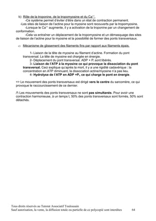 b) Rôle de la troponine, de la tropomyosine et du Ca++.
           -Ce système permet d’éviter d’être dans un état de contraction permanent.
      -Les sites de liaison de l’actine pour la myosine sont recouverts par la tropomyosine.
           -Lorsque le Ca++ augmente, il y a activation de la troponine par un changement de
   conformation.
           -Cela va entraîner un déplacement de la tropomyosine et un démasquage des sites
   de liaison de l’actine pour la myosine et la possibilité de former des ponts transversaux.

     c)   Mécanisme de glissement des filaments fins par rapport aux filaments épais.

               1- Liaison de la tête de myosine au filament d’actine. Formation du pont
          transversal. La tête de myosine est chargée en énergie.
               2- Déplacement du pont transversal. ADP + Pi sont libérés.
               3- Liaison de l’ATP à la myosine ce qui provoque la dissociation du pont
          transversal. Ceci explique qu’après la mort, il y a une rigidité cadavérique : la
          concentration en ATP diminuant, la dissociation actine/myosine n’a pas lieu.
               4- Hydrolyse de l’ATP en ADP +Pi, ce qui charge le pont en énergie.

   => Le mouvement des ponts transversaux est dirigé vers le centre du sarcomère, ce qui
   provoque le raccourcissement de ce dernier.

   /! Les mouvements des ponts transversaux ne sont pas simultanés. Pour avoir une
   contraction harmonieuse, à un temps t, 50% des ponts transversaux sont formés, 50% sont
   détachés.




Tous droits réservés au Tutorat Associatif Toulousain
Sauf autorisation, la vente, la diffusion totale ou partielle de ce polycopié sont interdites   64
 