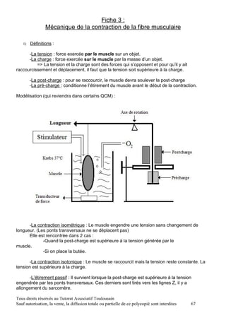 Fiche 3 :
                Mécanique de la contraction de la fibre musculaire

   1)   Définitions :

      -La tension : force exercée par le muscle sur un objet.
      -La charge : force exercée sur le muscle par la masse d’un objet.
          => La tension et la charge sont des forces qui s’opposent et pour qu’il y ait
raccourcissement et déplacement, il faut que la tension soit supérieure à la charge.

        -La post-charge : pour se raccourcir, le muscle devra soulever la post-charge
        -La pré-charge : conditionne l’étirement du muscle avant le début de la contraction.

Modélisation (qui reviendra dans certains QCM) :




      -La contraction isométrique : Le muscle engendre une tension sans changement de
longueur. (Les ponts transversaux ne se déplacent pas)
      Elle est rencontrée dans 2 cas :
             -Quand la post-charge est supérieure à la tension générée par le
muscle.
             -Si on place la butée.

       -La contraction isotonique : Le muscle se raccourcit mais la tension reste constante. La
tension est supérieure à la charge.

       -L’étirement passif : Il survient lorsque la post-charge est supérieure à la tension
engendrée par les ponts transversaux. Ces derniers sont tirés vers les lignes Z, il y a
allongement du sarcomère.

Tous droits réservés au Tutorat Associatif Toulousain
Sauf autorisation, la vente, la diffusion totale ou partielle de ce polycopié sont interdites   67
 