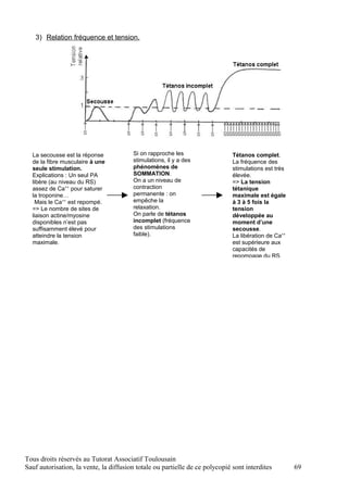 3) Relation fréquence et tension.




  La secousse est la réponse            Si on rapproche les                   Tétanos complet.
  de la fibre musculaire à une          stimulations, il y a des              La fréquence des
  seule stimulation.                    phénomènes de                         stimulations est très
  Explications : Un seul PA             SOMMATION.                            élevée.
  libère (au niveau du RS)              On a un niveau de                     => La tension
  assez de Ca++ pour saturer            contraction                           tétanique
  la troponine…                         permanente : on                       maximale est égale
   Mais le Ca++ est repompé.            empêche la                            à 3 à 5 fois la
  => Le nombre de sites de              relaxation.                           tension
  liaison actine/myosine                On parle de tétanos                   développée au
  disponibles n’est pas                 incomplet (fréquence                  moment d’une
  suffisamment élevé pour               des stimulations                      secousse.
  atteindre la tension                  faible).                              La libération de Ca++
  maximale.                                                                   est supérieure aux
                                                                              capacités de
                                                                              repompage du RS.




Tous droits réservés au Tutorat Associatif Toulousain
Sauf autorisation, la vente, la diffusion totale ou partielle de ce polycopié sont interdites         69
 