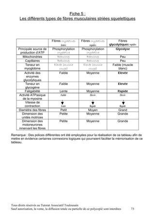 Fiche 5 :
       Les différents types de fibres musculaires striées squelettiques




                                  Fibres oxydatives        Fibres oxydatives            Fibres
                                         lentes                   rapides         glycolytiques rapides
      Principale source de        Phosphorylation          Phosphorylation            Glycolyse
       production d’ATP               oxydative                oxydative
         Mitochondries                Beaucoup                 Beaucoup                   Peu
           Capillaires                Beaucoup                 Beaucoup                   Peu
           Teneur en                Elevée (muscle           Elevée (muscle          Faible (muscle
           myoglobine                   rouge)                   rouge)                  blanc)
           Activité des                 Faible                 Moyenne                   Elevée
            enzymes
          glycolytiques
           Teneur en                    Faible                 Moyenne                    Elevée
           glycogène
           Fatigabilité                  Lente                 Moyenne                    Rapide
      Activité ATPasique                  Faible                 Elevée                    Elevée
          de la myosine
           Vitesse de
           contraction                    Lente                  Rapide                    Rapide
      Diamètre des fibres                Petit                  Moyen                     Grand
         Dimension des                   Petite                Moyenne                    Grande
         unités motrices
         Dimension des                   Petite                Moyenne                    Grande
         motoneurones
      innervant les fibres

Remarque : Des polices différentes ont été employées pour la réalisation de ce tableau afin de
mettre en évidence certaines connexions logiques qui pourraient faciliter la mémorisation de ce
tableau.




Tous droits réservés au Tutorat Associatif Toulousain
Sauf autorisation, la vente, la diffusion totale ou partielle de ce polycopié sont interdites       73
 