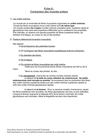 Fiche 6 :
                               Contraction des muscles entiers

   1) Les unités motrices.

       -Le muscle est un ensemble de fibres musculaires organisées en unités motrices.
       -Toutes les fibres musculaires d’une unité motrice sont de même type.
       -Un muscle contient les 3 types d’unités motrices (oxydative lente, oxydative rapide et
       glycolytique) mais dans des proportions différentes qui lui confèreront ses propriétés.
       (Par exemple, on observe une grande proportion de fibres oxydatives lentes, qui
       résistent à la fatigue, au niveau du dos et des jambes)

   2) Facteurs déterminant la tension musculaire.

       Elle dépend :
              a) De la fréquence des potentiels d’action.

                b) De la longueur des fibres musculaires squelettiques avant la contraction.

                c) Du diamètre des fibres.

                d) De la fatigue.

                e) Du nombre de fibres musculaires par unité motrice.
                      *faible pour les mouvements précis (fibres musculaires de l’œil ou de la
       main).
                       *élevé au niveau des jambes, du dos…

              f) Du recrutement, c'est-à-dire du nombre d’unités motrices actives.
                     a) dépend de la taille du corps cellulaire du motoneurone : les petits
       motoneurones sont recrutés en premier. Ils provoquent donc la contraction des fibres
       des unités motrices oxydatives lentes puis des unités motrices oxydatives rapides et
       enfin des unités motrices glycolytiques rapides.

                     b) dépend de la tension : Pour un exercice modéré, d’endurance, seules
       les fibres oxydatives sont recrutées, les fibres glycolytiques sont peu ou pas sollicitées.
       Lorsque la tension augmente et dépasse 40% de la tension maximale, les unités
       glycolytiques sont recrutées. (Mais la fatigabilité est alors très importante)




Tous droits réservés au Tutorat Associatif Toulousain
Sauf autorisation, la vente, la diffusion totale ou partielle de ce polycopié sont interdites   74
 