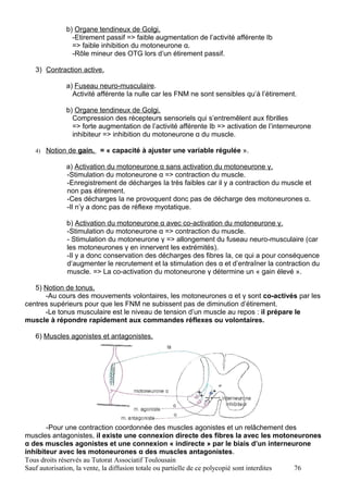 b) Organe tendineux de Golgi.
               -Etirement passif => faible augmentation de l’activité afférente Ib
               => faible inhibition du motoneurone α.
               -Rôle mineur des OTG lors d’un étirement passif.

   3) Contraction active.

             a) Fuseau neuro-musculaire.
               Activité afférente Ia nulle car les FNM ne sont sensibles qu’à l’étirement.

             b) Organe tendineux de Golgi.
               Compression des récepteurs sensoriels qui s’entremêlent aux fibrilles
               => forte augmentation de l’activité afférente Ib => activation de l’interneurone
               inhibiteur => inhibition du motoneurone α du muscle.

   4) Notion de gain.   = « capacité à ajuster une variable régulée ».

             a) Activation du motoneurone α sans activation du motoneurone γ.
             -Stimulation du motoneurone α => contraction du muscle.
             -Enregistrement de décharges Ia très faibles car il y a contraction du muscle et
             non pas étirement.
             -Ces décharges Ia ne provoquent donc pas de décharge des motoneurones α.
             -Il n’y a donc pas de réflexe myotatique.

             b) Activation du motoneurone α avec co-activation du motoneurone γ.
             -Stimulation du motoneurone α => contraction du muscle.
             - Stimulation du motoneurone γ => allongement du fuseau neuro-musculaire (car
             les motoneurones γ en innervent les extrémités).
             -Il y a donc conservation des décharges des fibres Ia, ce qui a pour conséquence
             d’augmenter le recrutement et la stimulation des α et d’entraîner la contraction du
             muscle. => La co-activation du motoneurone γ détermine un « gain élevé ».

   5) Notion de tonus.
      -Au cours des mouvements volontaires, les motoneurones α et γ sont co-activés par les
centres supérieurs pour que les FNM ne subissent pas de diminution d’étirement.
      -Le tonus musculaire est le niveau de tension d’un muscle au repos : il prépare le
muscle à répondre rapidement aux commandes réflexes ou volontaires.

   6) Muscles agonistes et antagonistes.




       -Pour une contraction coordonnée des muscles agonistes et un relâchement des
muscles antagonistes, il existe une connexion directe des fibres Ia avec les motoneurones
α des muscles agonistes et une connexion « indirecte » par le biais d’un interneurone
inhibiteur avec les motoneurones α des muscles antagonistes.
Tous droits réservés au Tutorat Associatif Toulousain
Sauf autorisation, la vente, la diffusion totale ou partielle de ce polycopié sont interdites 76
 