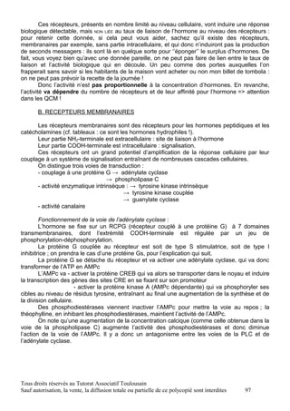 Ces récepteurs, présents en nombre limité au niveau cellulaire, vont induire une réponse
biologique détectable, mais NON LIÉE au taux de liaison de l’hormone au niveau des récepteurs :
pour retenir cette donnée, si cela peut vous aider, sachez qu’il existe des récepteurs,
membranaires par exemple, sans partie intracellulaire, et qui donc n’induiront pas la production
de seconds messagers : ils sont là en quelque sorte pour ‘’éponger’’ le surplus d’hormones. De
fait, vous voyez bien qu’avec une donnée pareille, on ne peut pas faire de lien entre le taux de
liaison et l’activité biologique qui en découle. Un peu comme des portes auxquelles l’on
frapperait sans savoir si les habitants de la maison vont acheter ou non mon billet de tombola :
on ne peut pas prévoir la recette de la journée !
         Donc l’activité n’est pas proportionnelle à la concentration d’hormones. En revanche,
l’activité va dépendre du nombre de récepteurs et de leur affinité pour l’hormone => attention
dans les QCM !

       B. RECEPTEURS MEMBRANAIRES

      Les récepteurs membranaires sont des récepteurs pour les hormones peptidiques et les
catécholamines (cf. tableaux : ce sont les hormones hydrophiles !).
      Leur partie NH2-terminale est extracellulaire : site de liaison à l’hormone
      Leur partie COOH-terminale est intracellulaire : signalisation.
      Ces récepteurs ont un grand potentiel d’amplification de la réponse cellulaire par leur
couplage à un système de signalisation entraînant de nombreuses cascades cellulaires.
      On distingue trois voies de transduction :
      - couplage à une protéine G → adénylate cyclase
                                  → phospholipase C
      - activité enzymatique intrinsèque : → tyrosine kinase intrinsèque
                                         → tyrosine kinase couplée
                                         → guanylate cyclase
      - activité canalaire

        Fonctionnement de la voie de l’adénylate cyclase :
        L’hormone se fixe sur un RCPG (récepteur couplé à une protéine G) à 7 domaines
transmembranaires, dont l’extrémité COOH-terminale est régulée par un jeu de
phosphorylation-déphosphorylation.
        La protéine G couplée au récepteur est soit de type S stimulatrice, soit de type I
inhibitrice ; on prendra le cas d’une protéine Gs, pour l’explication qui suit.
        La protéine G se détache du récepteur et va activer une adénylate cyclase, qui va donc
transformer de l’ATP en AMPc
        L’AMPc va - activer la protéine CREB qui va alors se transporter dans le noyau et induire
la transcription des gènes des sites CRE en se fixant sur son promoteur
                        - activer la protéine kinase A (AMPc dépendante) qui va phosphoryler ses
cibles au niveau de résidus tyrosine, entraînant au final une augmentation de la synthèse et de
la division cellulaire.
        Des phosphodiestérases viennent inactiver l’AMPc pour mettre la voie au repos ; la
théophylline, en inhibant les phosphodiestérases, maintient l’activité de l’AMPc.
        On note qu’une augmentation de la concentration calcique (comme celle obtenue dans la
voie de la phospholipase C) augmente l’activité des phosphodiestérases et donc diminue
l’action de la voie de l’AMPc. Il y a donc un antagonisme entre les voies de la PLC et de
l’adénylate cyclase.




Tous droits réservés au Tutorat Associatif Toulousain
Sauf autorisation, la vente, la diffusion totale ou partielle de ce polycopié sont interdites   97
 