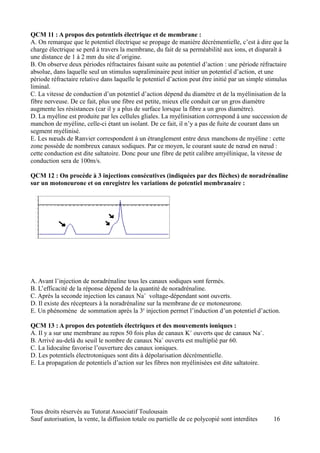 QCM 11 : A propos des potentiels électrique et de membrane :
A. On remarque que le potentiel électrique se propage de manière décrémentielle, c’est à dire que la
charge électrique se perd à travers la membrane, du fait de sa perméabilité aux ions, et disparaît à
une distance de 1 à 2 mm du site d’origine.
B. On observe deux périodes réfractaires faisant suite au potentiel d’action : une période réfractaire
absolue, dans laquelle seul un stimulus supraliminaire peut initier un potentiel d’action, et une
période réfractaire relative dans laquelle le potentiel d’action peut être initié par un simple stimulus
liminal.
C. La vitesse de conduction d’un potentiel d’action dépend du diamètre et de la myélinisation de la
fibre nerveuse. De ce fait, plus une fibre est petite, mieux elle conduit car un gros diamètre
augmente les résistances (car il y a plus de surface lorsque la fibre a un gros diamètre).
D. La myéline est produite par les cellules gliales. La myélinisation correspond à une succession de
manchon de myéline, celle-ci étant un isolant. De ce fait, il n’y a pas de fuite de courant dans un
segment myélinisé.
E. Les nœuds de Ranvier correspondent à un étranglement entre deux manchons de myéline : cette
zone possède de nombreux canaux sodiques. Par ce moyen, le courant saute de nœud en nœud :
cette conduction est dite saltatoire. Donc pour une fibre de petit calibre amyélinique, la vitesse de
conduction sera de 100m/s.

QCM 12 : On procède à 3 injections consécutives (indiquées par des flèches) de noradrénaline
sur un motoneurone et on enregistre les variations de potentiel membranaire :




A. Avant l’injection de noradrénaline tous les canaux sodiques sont fermés.
B. L’efficacité de la réponse dépend de la quantité de noradrénaline.
C. Après la seconde injection les canaux Na+ voltage-dépendant sont ouverts.
D. Il existe des récepteurs à la noradrénaline sur la membrane de ce motoneurone.
E. Un phénomène de sommation après la 3e injection permet l’induction d’un potentiel d’action.

QCM 13 : A propos des potentiels électriques et des mouvements ioniques :
A. Il y a sur une membrane au repos 50 fois plus de canaux K+ ouverts que de canaux Na+.
B. Arrivé au-delà du seuil le nombre de canaux Na+ ouverts est multiplié par 60.
C. La lidocaïne favorise l’ouverture des canaux ioniques.
D. Les potentiels électrotoniques sont dits à dépolarisation décrémentielle.
E. La propagation de potentiels d’action sur les fibres non myélinisées est dite saltatoire.




Tous droits réservés au Tutorat Associatif Toulousain
Sauf autorisation, la vente, la diffusion totale ou partielle de ce polycopié sont interdites    16
 