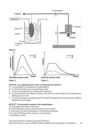 Figure 1




Figure 2                                     Figure 3

QCM 56 : La comparaison des tracés A et B permet de conclure :
A. La postcharge A est supérieure à la postcharge B.
B. Le tracé B est obtenu avec une postcharge nulle.
C. Le tracé A correspond à une contraction isométrique.
D. Le chevauchement des filaments d’actine et de myosine avant le début de la contraction est
   identique en A et en B.
E. Le raccourcissement se produit quand la tension développée par le muscle atteint et dépasse
   légèrement la postcharge.

QCM 57 : Concernant les muscles striés squelettiques :
A. Ils possèdent des tubules transverses.
B. Ils possèdent des jonctions communicantes entre les fibres.
C. Leur source de calcium principale est la membrane plasmique.
D. L’activité ATPasique de la myosine y est importante.
E. Possèdent un tonus.

Tous droits réservés au Tutorat Associatif Toulousain
Sauf autorisation, la vente, la diffusion totale ou partielle de ce polycopié sont interdites   29
 
