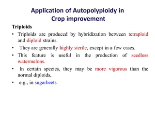 Application of Autopolyploidy in
Crop improvement
Triploids
• Triploids are produced by hybridization between tetraploid
and diploid strains.
• They are generally highly sterile, except in a few cases.
• This feature is useful in the production of seedless
watermelons.
• In certain species, they may be more vigorous than the
normal diploids,
• e.g., in sugarbeets
 