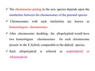  The chromosome pairing in the new species depends upon the
similarities between the chromosomes of the parental species
 Chromosomes with such similarities are known as
homoeologous chromosomes.
 After chromosome doubling, the allopolyploid would have
two homeologous chromosomes for each chromosome
present in the F1 hybrid, comparable to the diploid species.
 Such allopolyploid is referred as amphidiploid or
Allotetraploid.
 