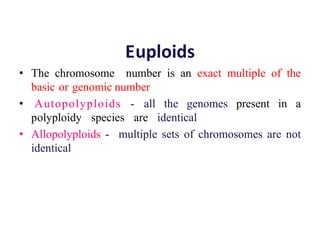 Euploids
• The chromosome number is an exact multiple of the
basic or genomic number
• Autopolyploids - all the genomes present in a
polyploidy species are identical
• Allopolyploids - multiple sets of chromosomes are not
identical
 