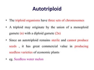 Autotriploid
• The triploid organisms have three sets of chromosomes
• A triploid may originate by the union of a monoploid
gamete (n) with a diploid gamete (2n)
• Since an autotriploid remains sterile and cannot produce
seeds , it has great commercial value in producing
seedless varieties of economic plants
• eg. Seedless water melon
 