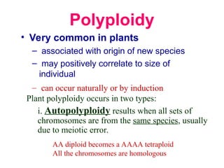 Polyploidy_and_speciation.ppt. . | PPT