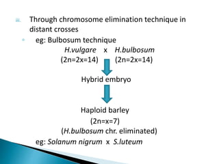 iii. Through chromosome elimination technique in
distant crosses
◦ eg: Bulbosum technique
H.vulgare х H.bulbosum
(2n=2x=14) (2n=2x=14)
Hybrid embryo
Haploid barley
(2n=x=7)
(H.bulbosum chr. eliminated)
eg: Solanum nigrum x S.luteum
 