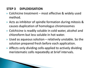 STEP 3 DIPLOIDISATION
 Colchicine treatment – most effective & widely used
method.
 Acts as inhibitor of spindle formation during mitosis &
causes duplication of homologus chromosomes
 Colchicine is readily soluble in cold water, alcohol and
chloroform but less soluble in hot water.
 Used as aqueous solution – relatively unstable. So the
solution prepared fresh before each application.
 Affects only dividing cells-applied to actively dividing
meristematic cells repeatedly at brief intervals.
 