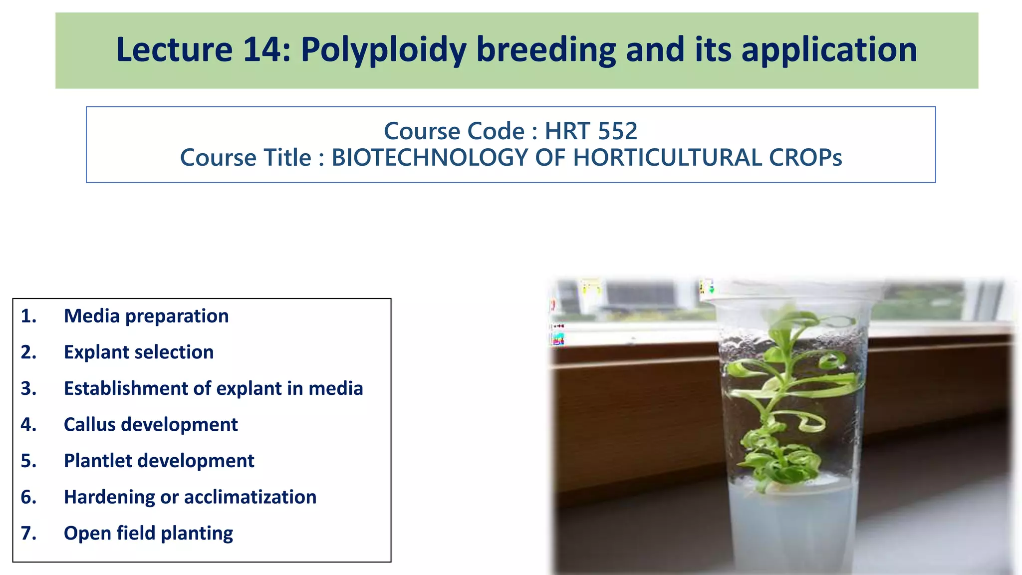 1. Media preparation
2. Explant selection
3. Establishment of explant in media
4. Callus development
5. Plantlet development
6. Hardening or acclimatization
7. Open field planting
Lecture 14: Polyploidy breeding and its application
Course Code : HRT 552
Course Title : BIOTECHNOLOGY OF HORTICULTURAL CROPs