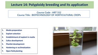 1. Media preparation
2. Explant selection
3. Establishment of explant in media
4. Callus development
5. Plantlet development
6. Hardening or acclimatization
7. Open field planting
Lecture 14: Polyploidy breeding and its application
Course Code : HRT 552
Course Title : BIOTECHNOLOGY OF HORTICULTURAL CROPs
 