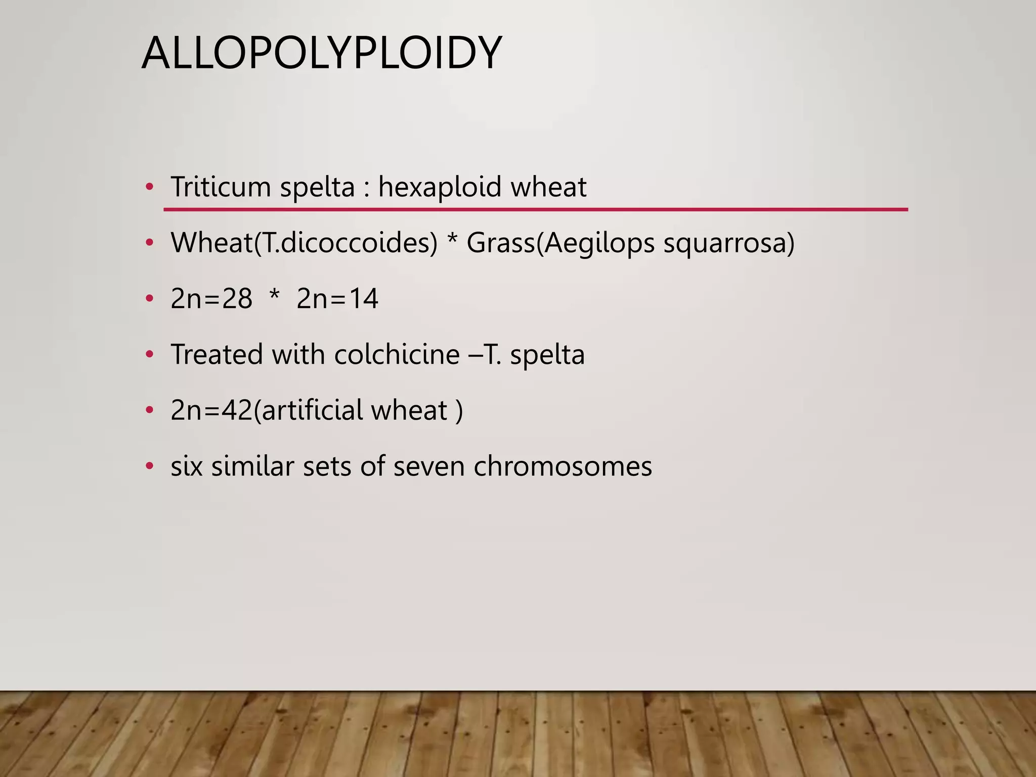 ALLOPOLYPLOIDY
• Triticum spelta : hexaploid wheat
• Wheat(T.dicoccoides) * Grass(Aegilops squarrosa)
• 2n=28 * 2n=14
• Treated with colchicine –T. spelta
• 2n=42(artificial wheat )
• six similar sets of seven chromosomes
 