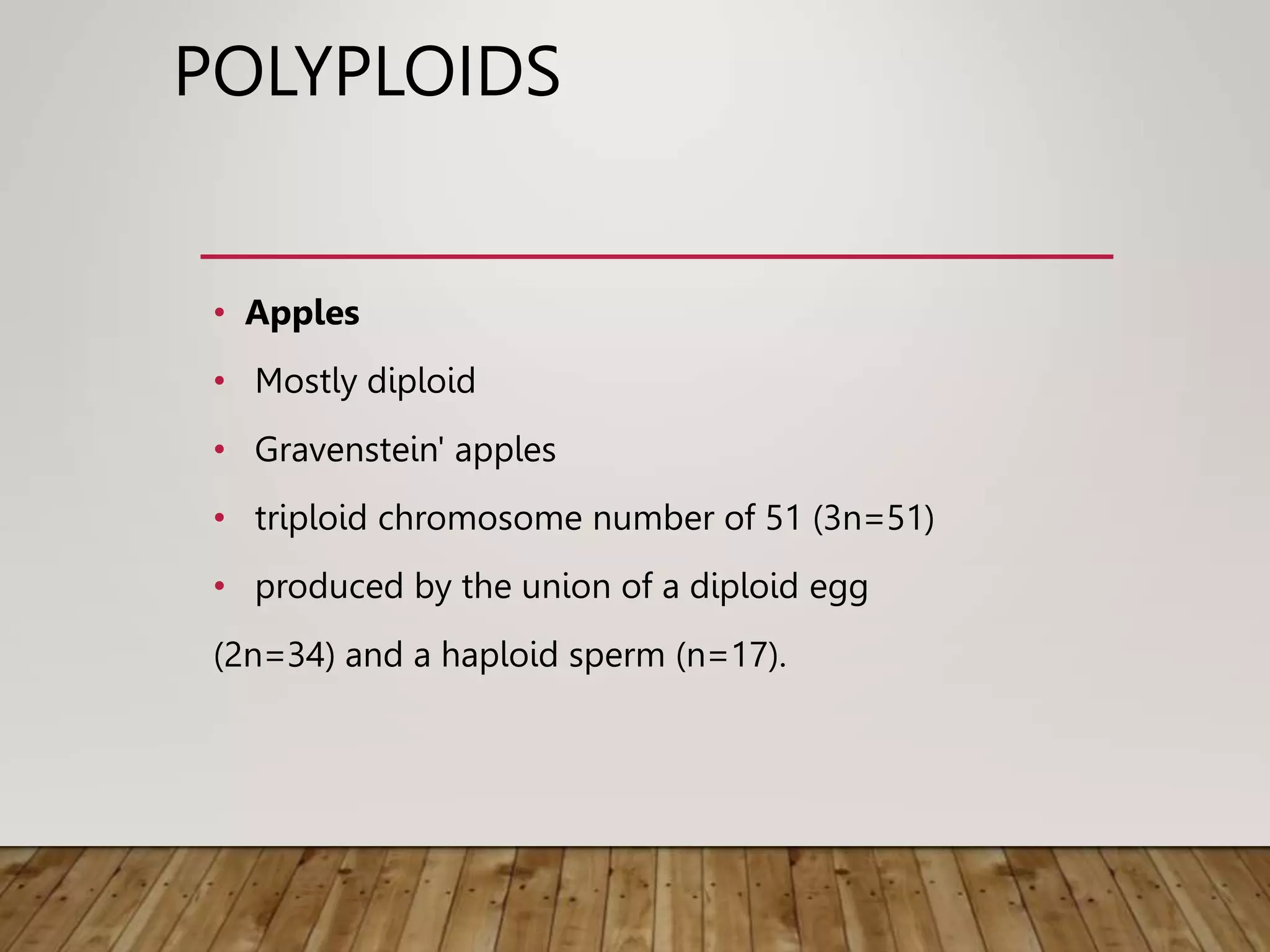 POLYPLOIDS
• Apples
• Mostly diploid
• Gravenstein' apples
• triploid chromosome number of 51 (3n=51)
• produced by the union of a diploid egg
(2n=34) and a haploid sperm (n=17).
 