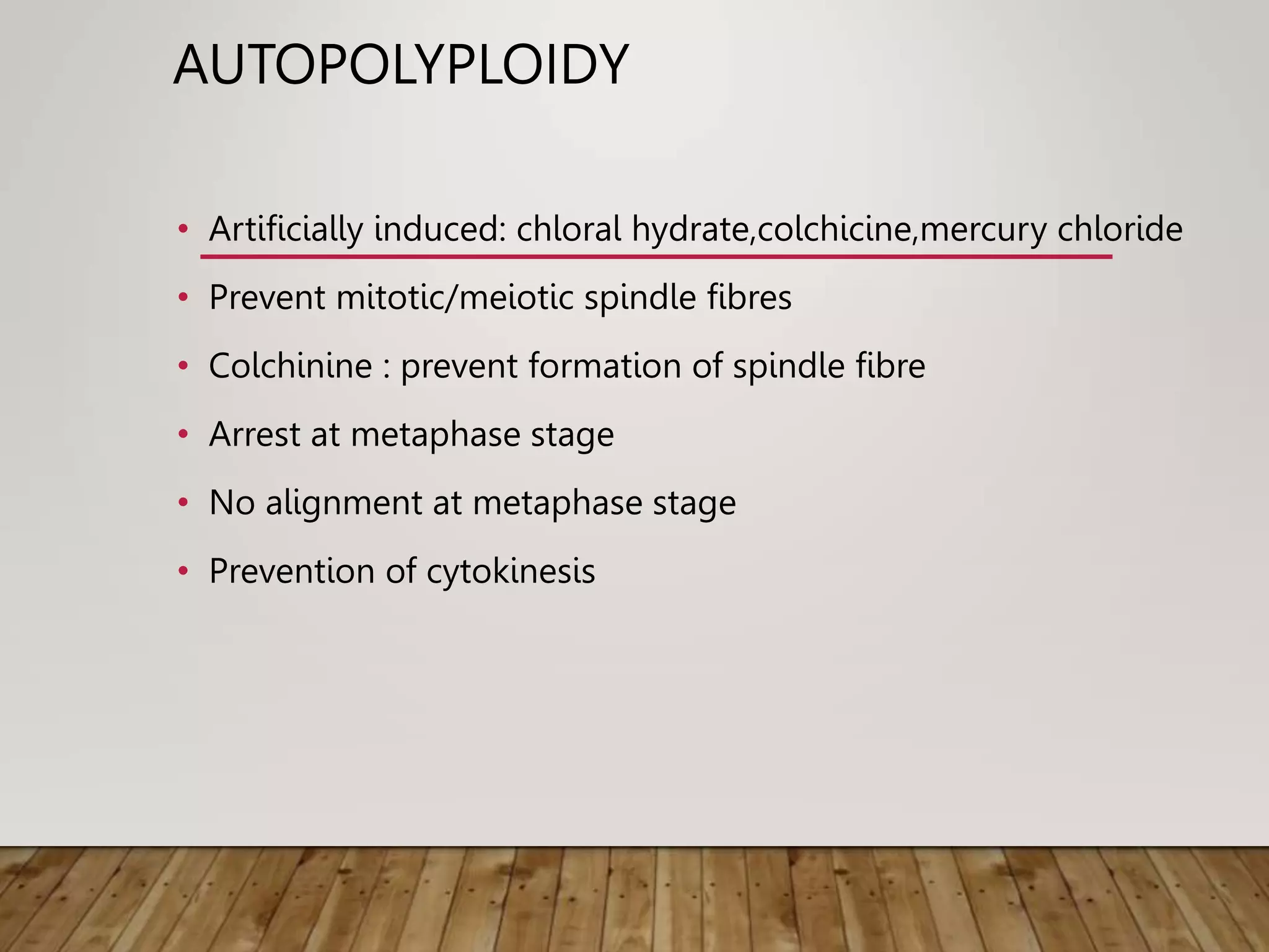 AUTOPOLYPLOIDY
• Artificially induced: chloral hydrate,colchicine,mercury chloride
• Prevent mitotic/meiotic spindle fibres
• Colchinine : prevent formation of spindle fibre
• Arrest at metaphase stage
• No alignment at metaphase stage
• Prevention of cytokinesis
 