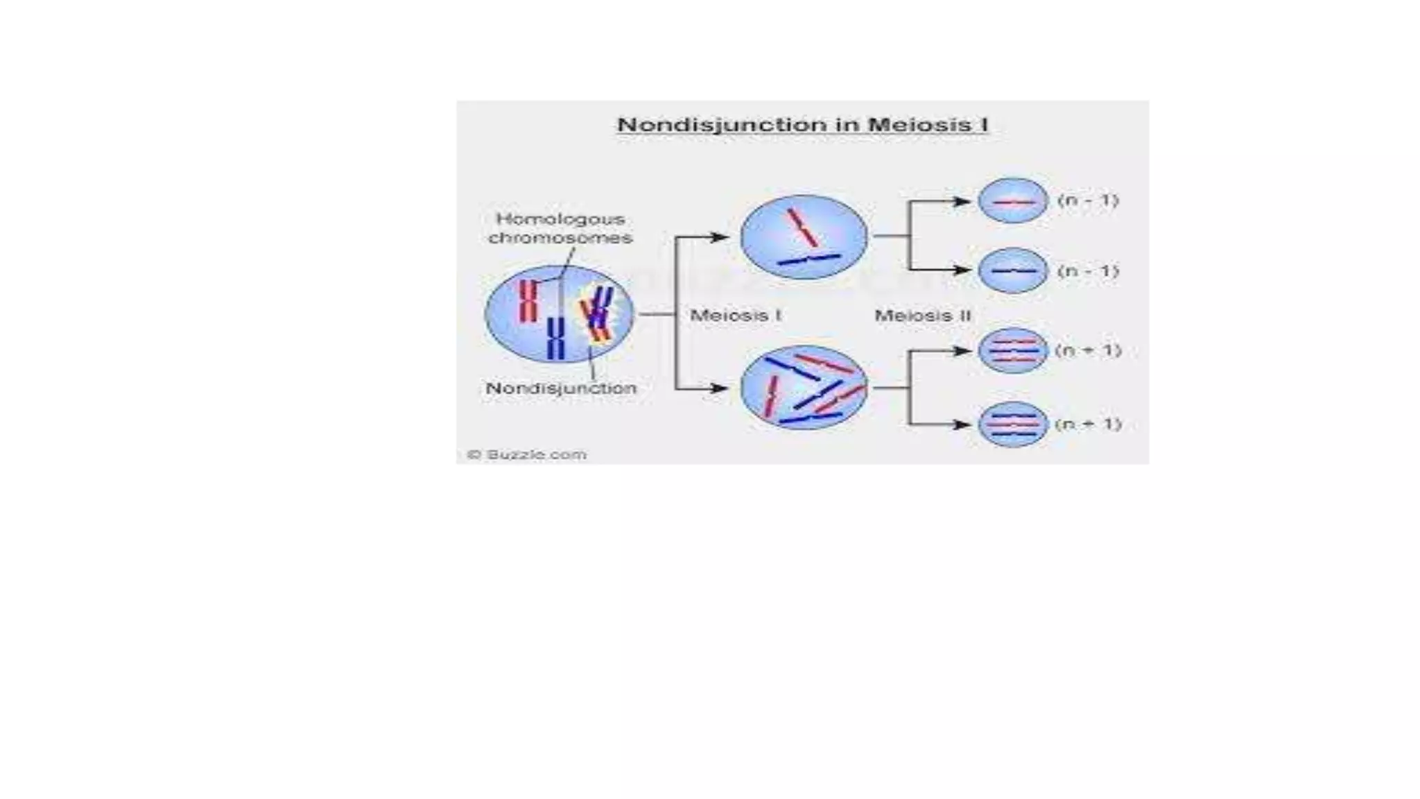 Polyploidy, mutation and hybridization with reference to medicinal ...