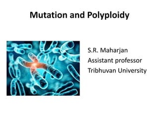 Mutation and Polyploidy
S.R. Maharjan
Assistant professor
Tribhuvan University
 