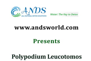 Polypodium Leucotomos 