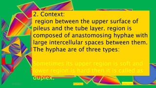 29-01-2021 POLYPORUS SADHNA PANDEY
2. Context:
region between the upper surface of
pileus and the tube layer. region is
composed of anastomosing hyphae with
large intercellular spaces between them.
The hyphae are of three types:
Sometimes its upper region is soft and
lower region is hard then it is called as
duplex.
 