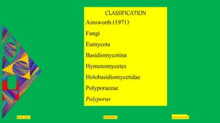 SADHNA PANDEY
POLYPORUS
29-01-2021
CLASSIFICATION
Ainsworth (1971)
Fungi
Eumycota
Basidiomycotina
Hymenomycetes
Holobasidiomycetidae
Polyporaceae
Polyporus
 