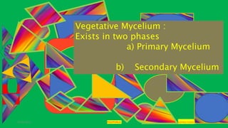 29-01-2021 POLYPORUS SADHNA PANDEY
Vegetative Mycelium :
Exists in two phases
a) Primary Mycelium
b) Secondary Mycelium
 