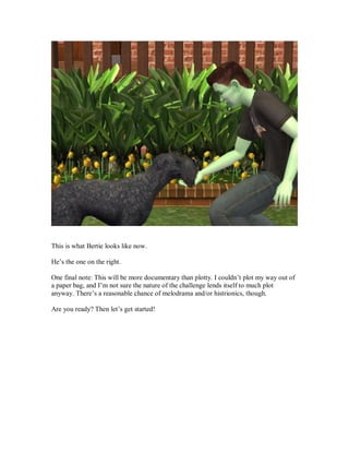 This is what Bertie looks like now.
He’s the one on the right.
One final note: This will be more documentary than plotty. I couldn’t plot my way out of
a paper bag, and I’m not sure the nature of the challenge lends itself to much plot
anyway. There’s a reasonable chance of melodrama and/or histrionics, though.
Are you ready? Then let’s get started!
 