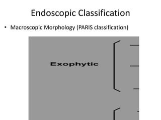 Colorectal Polyps & Carcinomas Diagnosis & characterization | PPTX