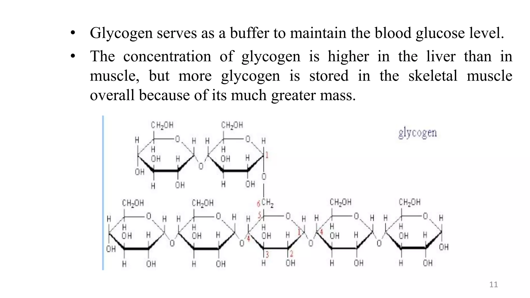 • Glycogen serves as a buffer to maintain the blood glucose level.
• The concentration of glycogen is higher in the liver than in
muscle, but more glycogen is stored in the skeletal muscle
overall because of its much greater mass.
11
 