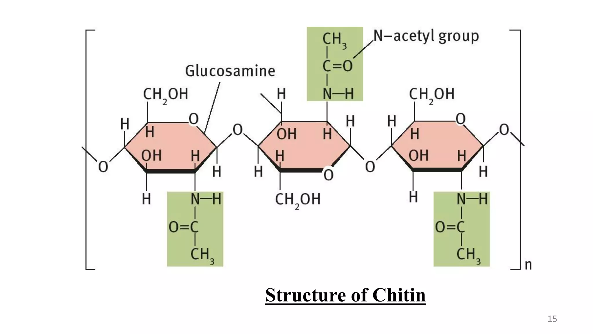 Structure of Chitin
15
 