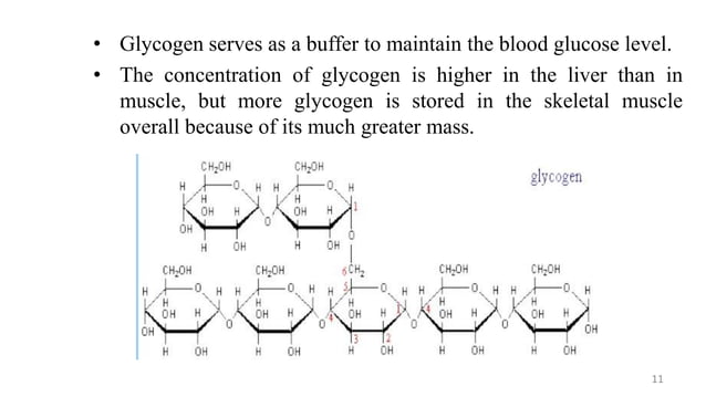 Polysaccharides Biochemistry For Msc Students Pdf