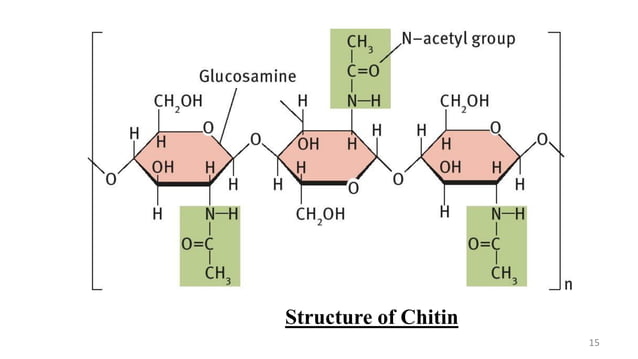 Polysaccharides Biochemistry For Msc Students Pdf