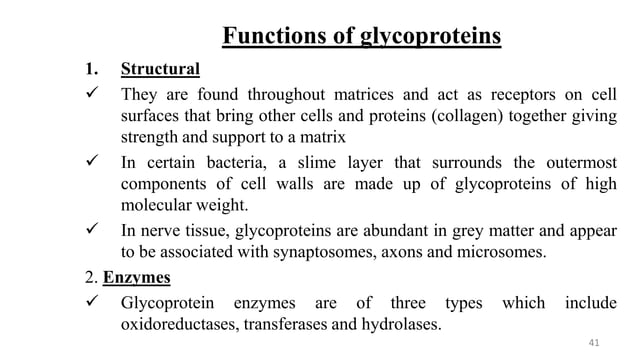 Polysaccharides Biochemistry For Msc Students Pdf