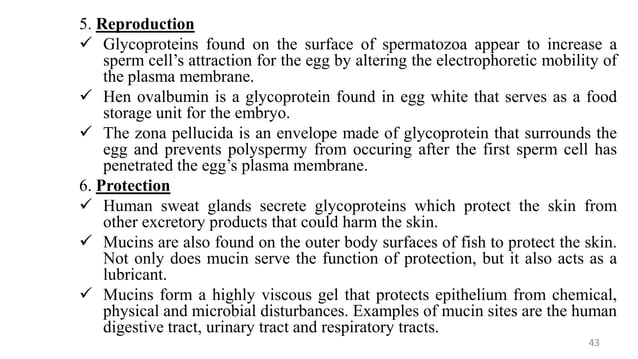 Polysaccharides Biochemistry For Msc Students Pdf