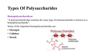 Polysaccharides.pptx