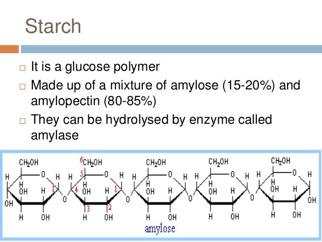 What Is The Monomer Building Block Of Starch What Is The Monomer Building Block Of Starch