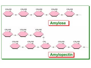 Amylose
Amylopectin
 