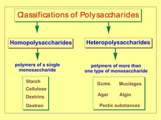 Classifications of Polysaccharides
polymers of more than
one type of monosaccharide
Homopolysaccharides Heteropolysaccharides
polymers of a single
monosaccharide
Starch
Cellulose
Dextrins
Dextran
Gums Mucilages
Agar Algin
Pectic substances
 